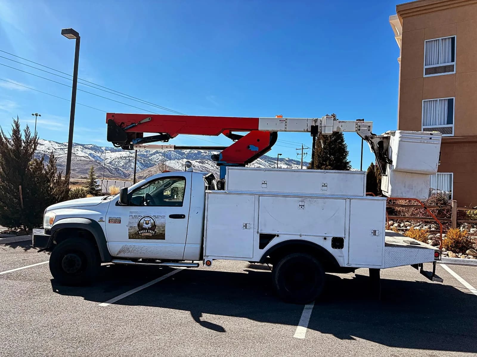 Eagle Tree Service crew at work on a residential tree care project in Reno