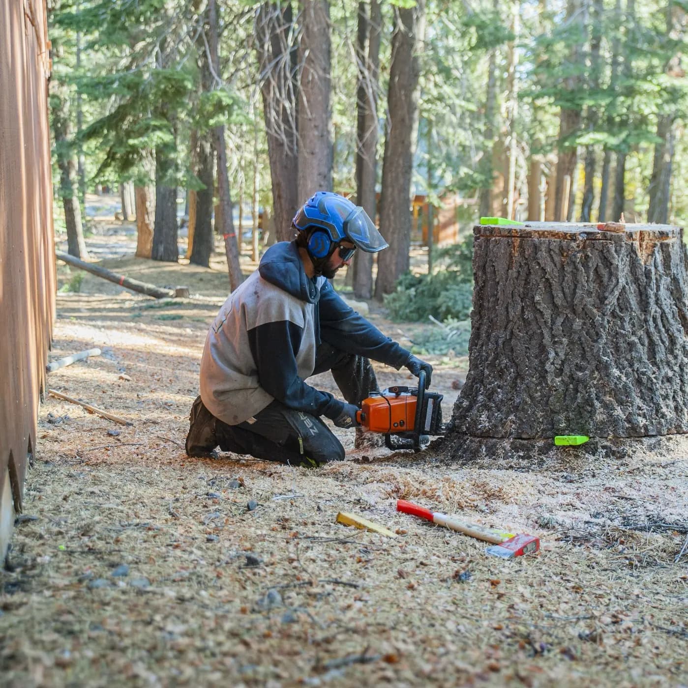 Tree removal aftermath with stump cleanly cut and the property cleared by Eagle Tree Service